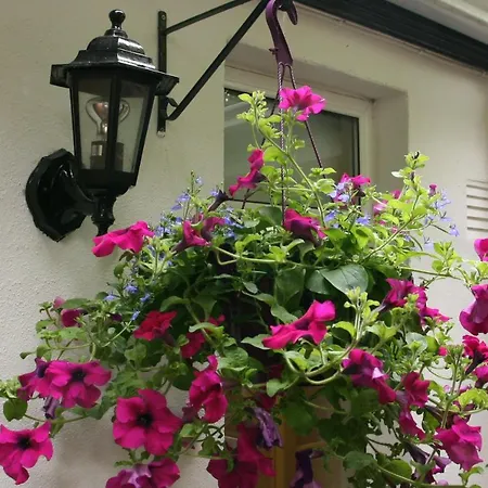 Donnybrook Hall Dublin