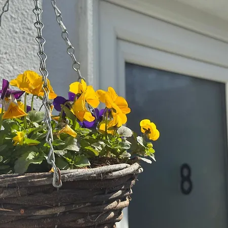 多尼布鲁克酒店 招待所