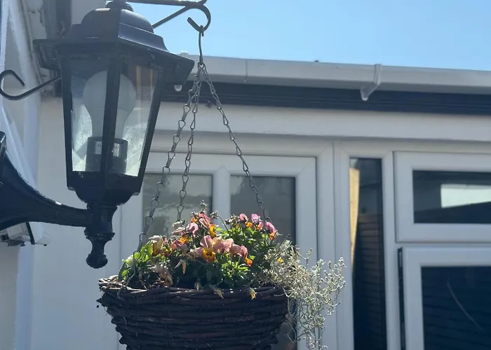 招待所 多尼布鲁克酒店 都柏林