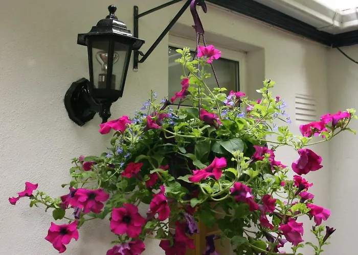 Donnybrook Hall 더블린