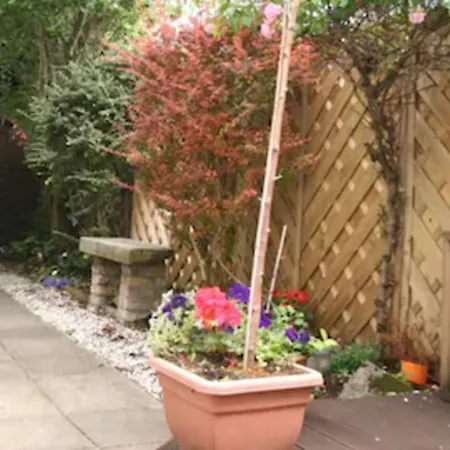 Donnybrook Hall 3* Дублин