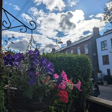 Donnybrook Hall Гостевой дом